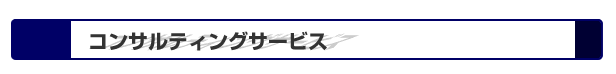 コンサルティングサービス